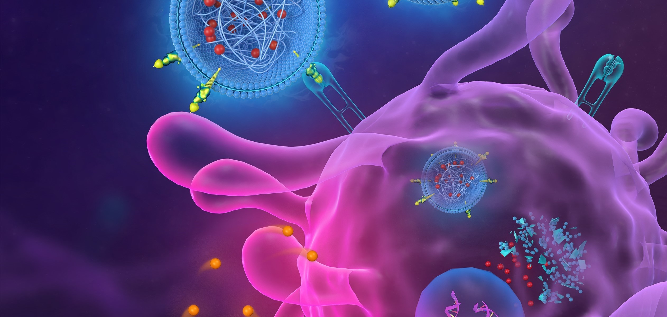 LetPub Journal Cover Art Design - Engineered Nanovaccine Targeting Clec9a+ Dendritic Cells Remarkably Enhances the Cancer Immunotherapy Effects of STING Agonist